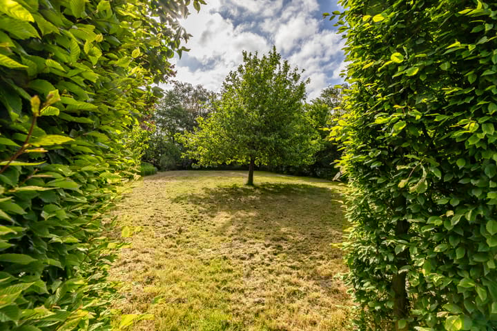 Foto 11 van Witherenweg 32