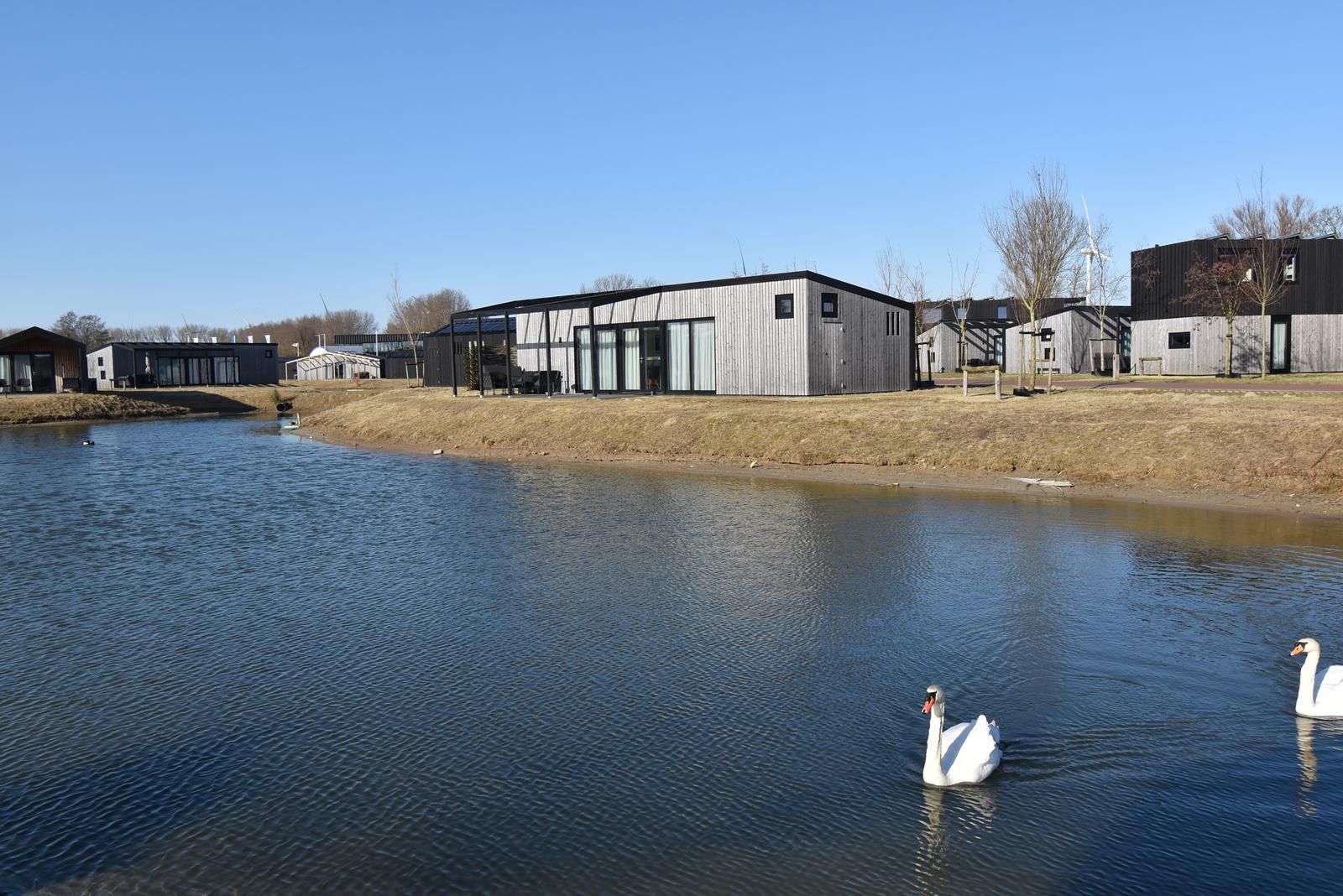 3-bedroom freehold villa in Zwartewaal — photo 1 of 5