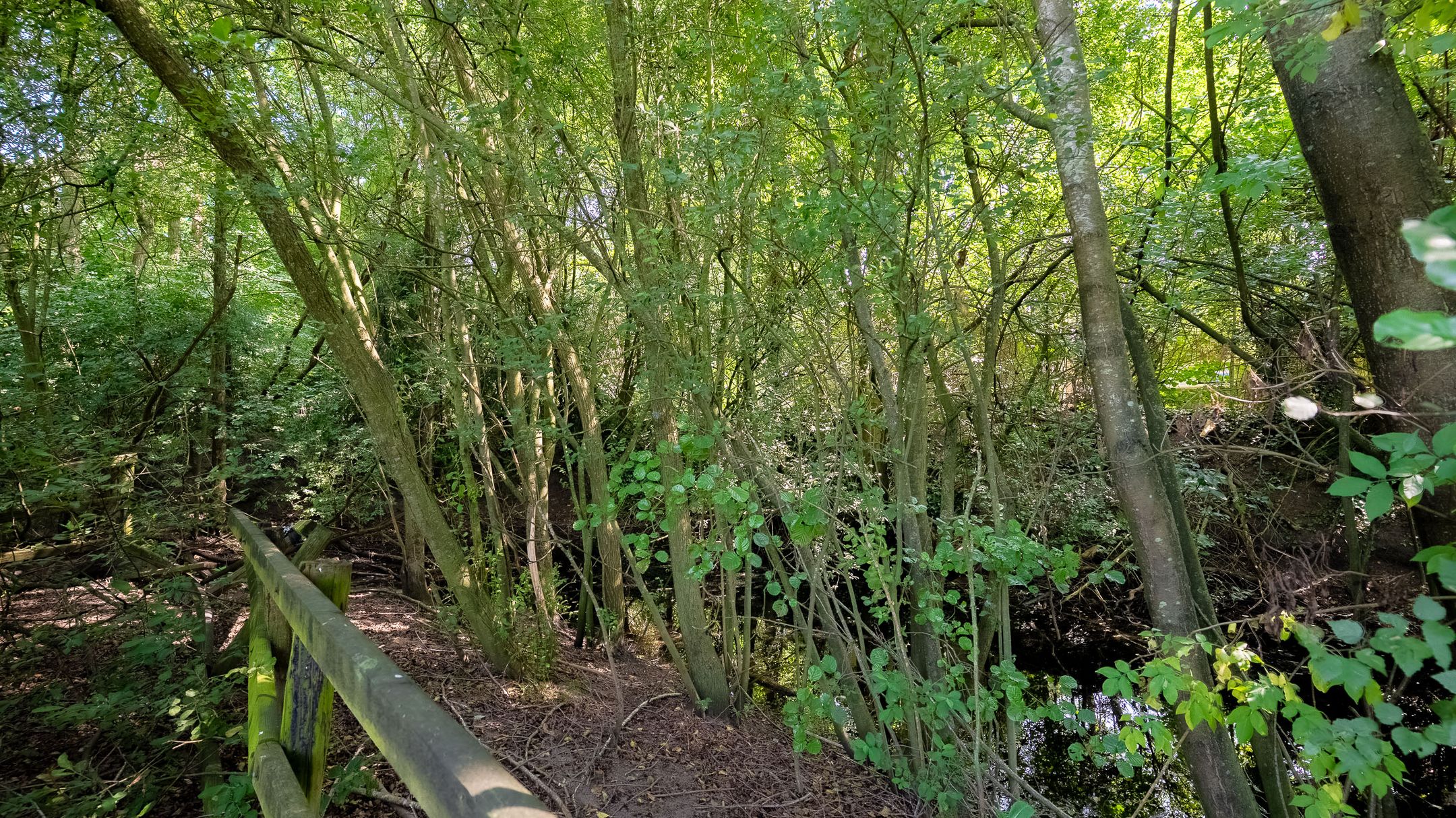 Photo 27 of Oosteinde 164-A