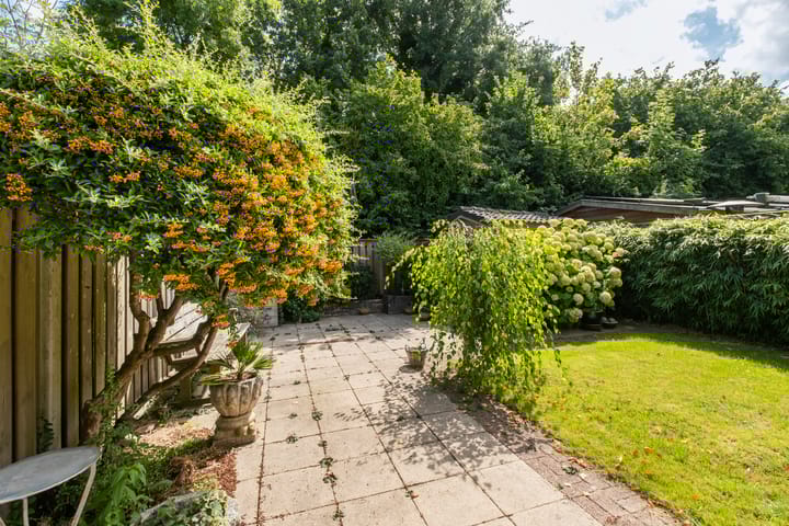 Foto 30 van Zonnebloempad 40