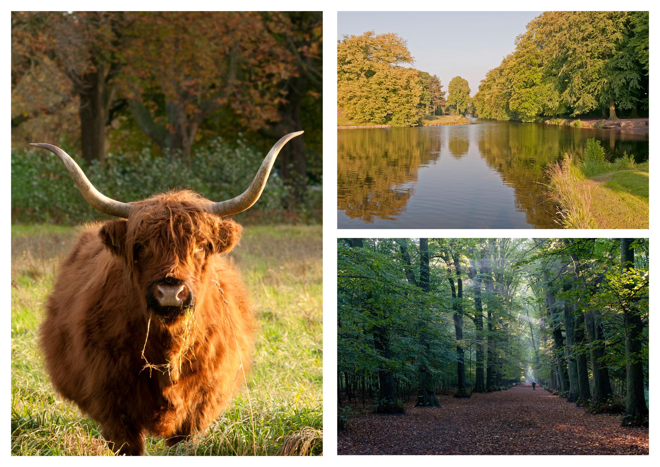 Photo 39 of Grevelingen 29