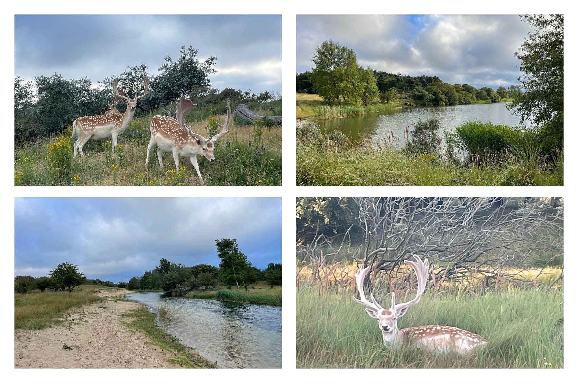 Photo 42 of Grevelingen 29