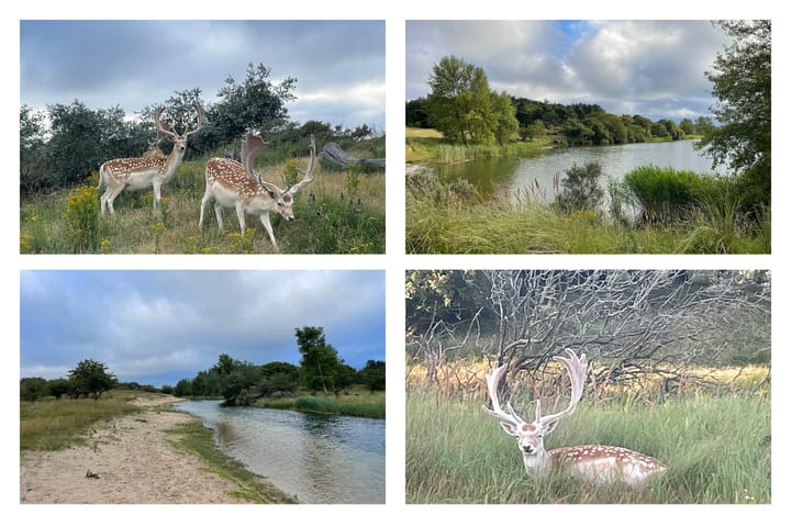 Foto 42 van Grevelingen 29