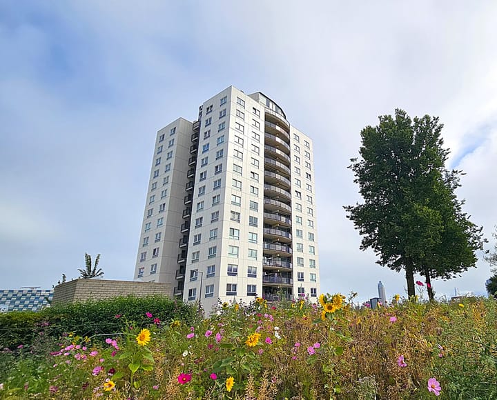 Foto 2 van Sint-Janshaven 589