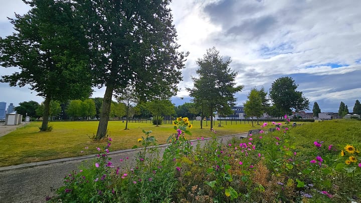 Foto 4 van Sint-Janshaven 589