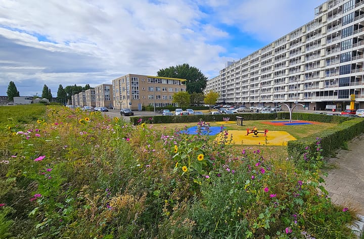 Foto 5 van Sint-Janshaven 589