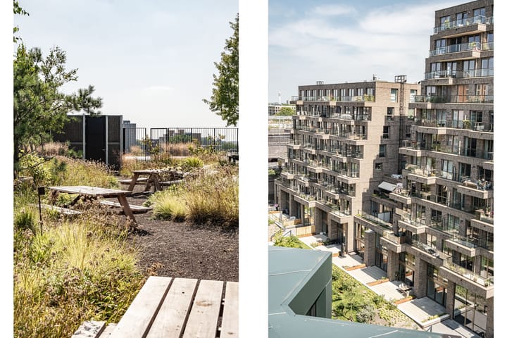 Foto 41 van Sint Maartenpad 9