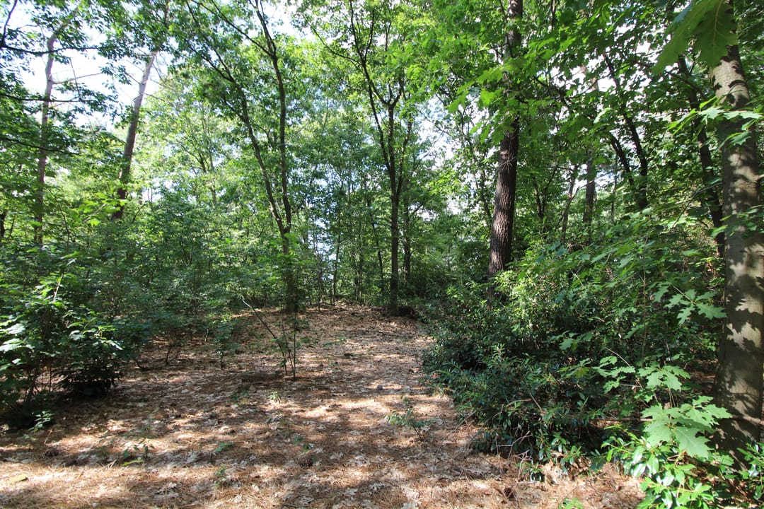 Photo 1 of De Schietbaan