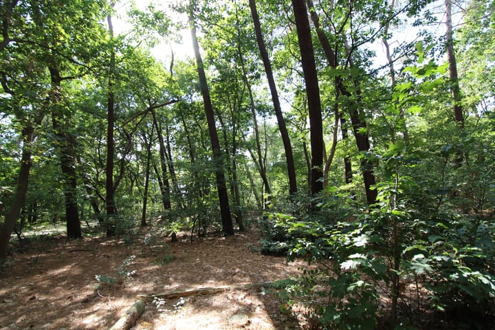 Foto 2 van De Schietbaan