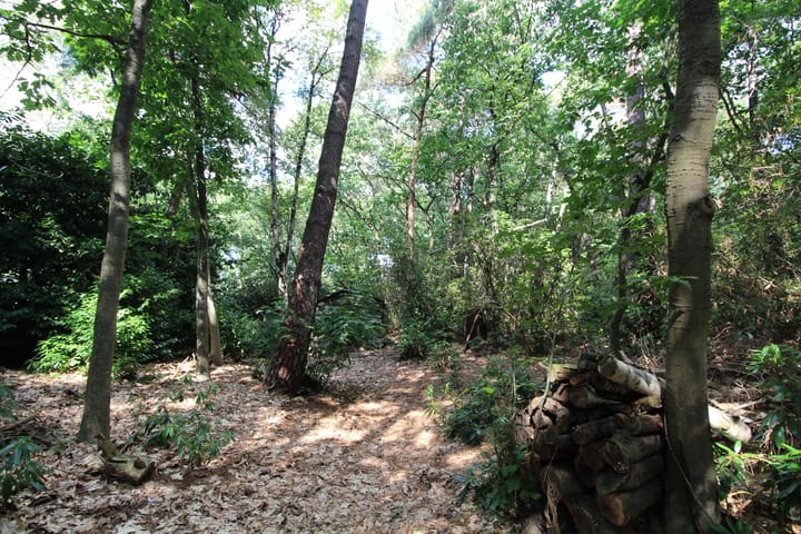 Foto 3 van De Schietbaan