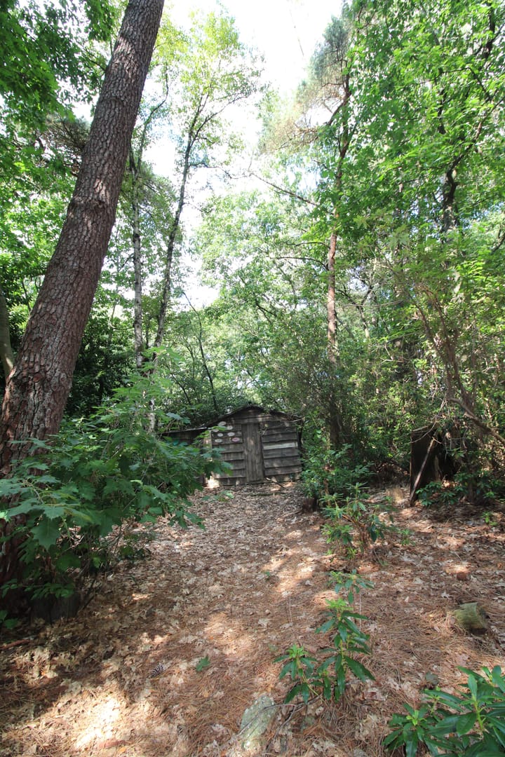 Foto 4 van De Schietbaan