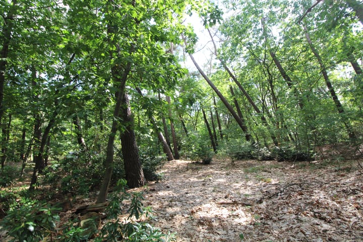 Foto 5 van De Schietbaan