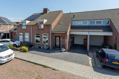 undefined main image