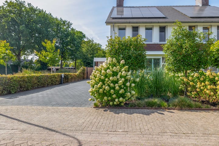 Foto 35 van Kattestraat 14