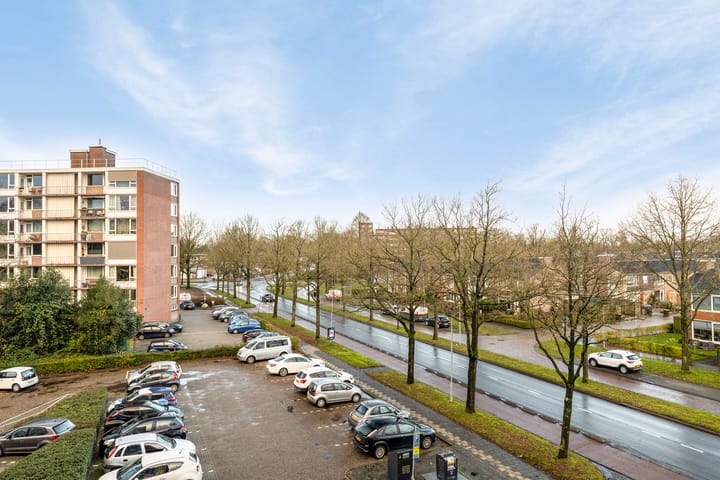 Foto 31 van Maria in Campislaan 115