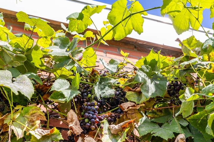 Foto 63 van Bij de Sluis 4