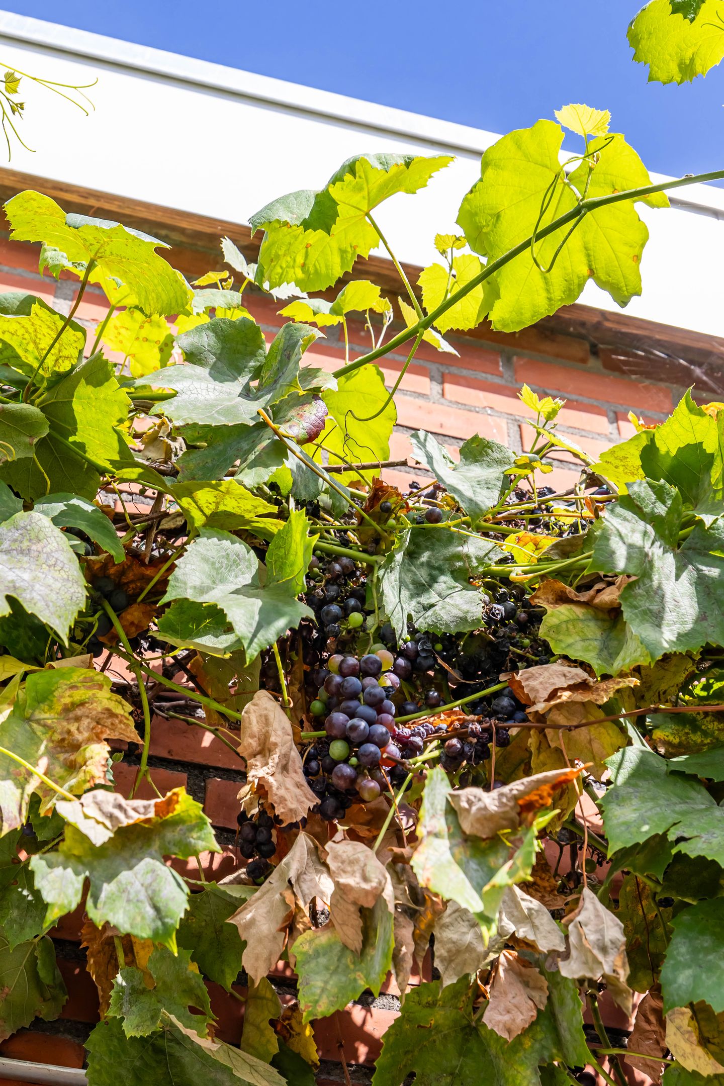 Foto 64 van Bij de Sluis 4