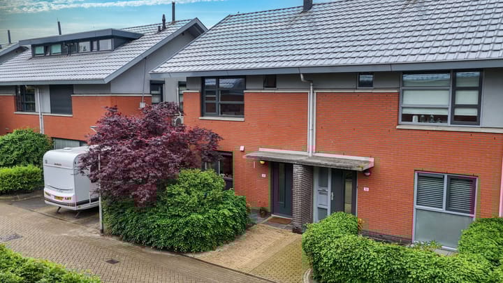 Foto 1 van Satijnvlinder 11