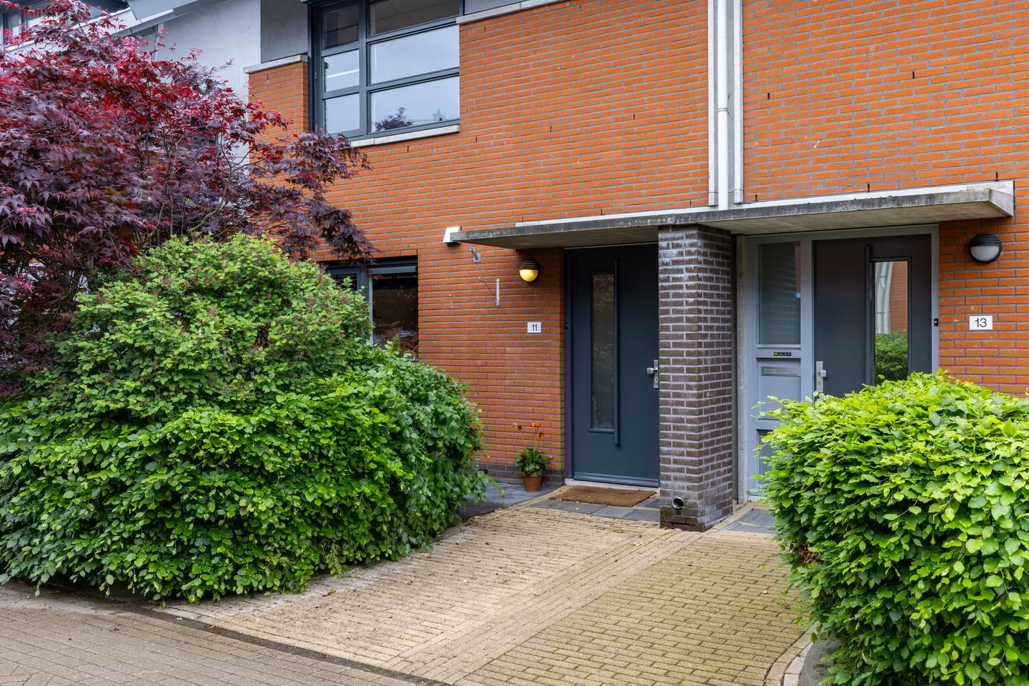 Foto 5 van Satijnvlinder 11