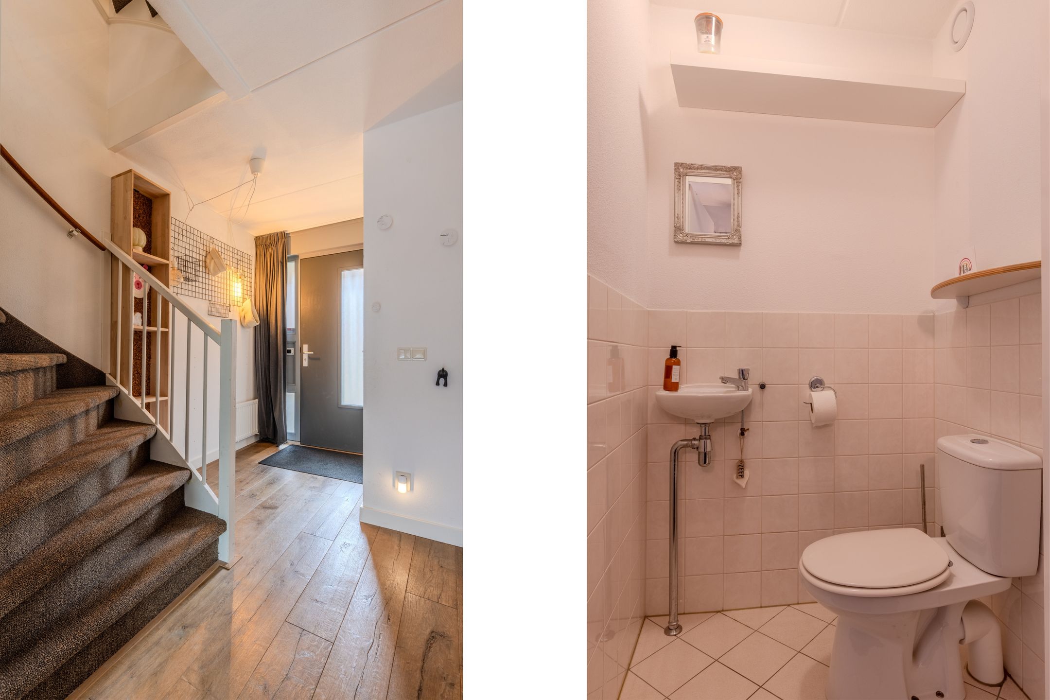 Foto 6 van Satijnvlinder 11