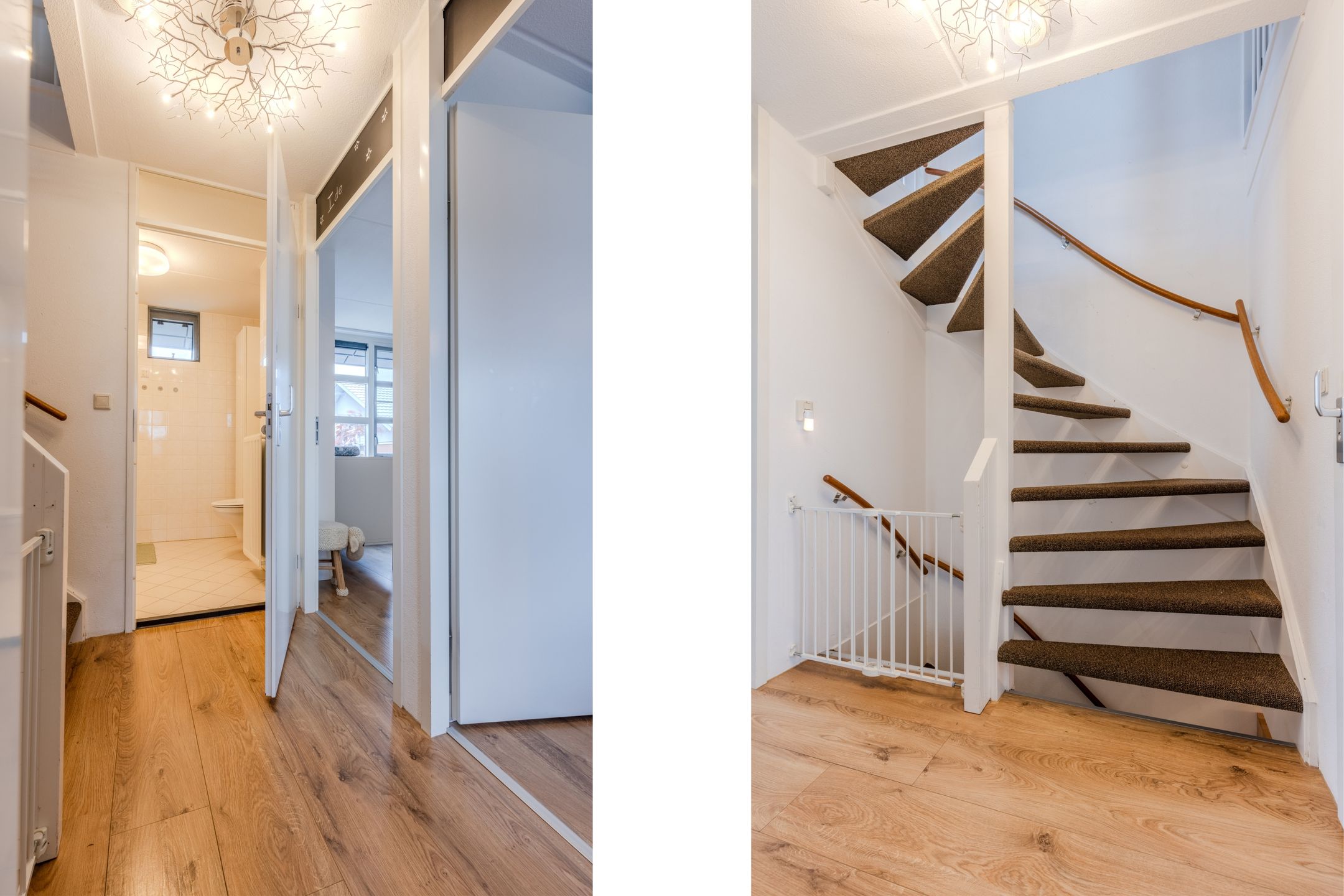 Foto 18 van Satijnvlinder 11