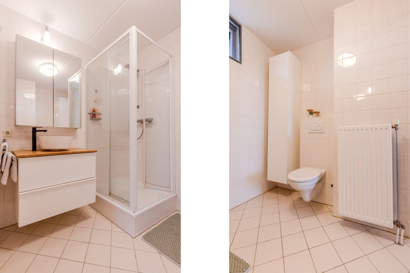 Foto 19 van Satijnvlinder 11