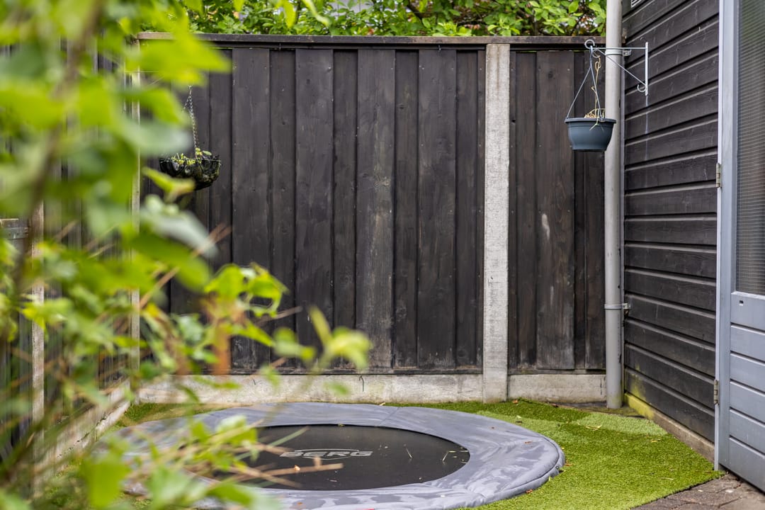 Foto 31 van Satijnvlinder 11