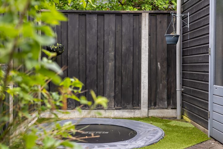 Foto 31 van Satijnvlinder 11