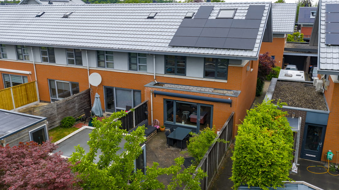 Foto 32 van Satijnvlinder 11