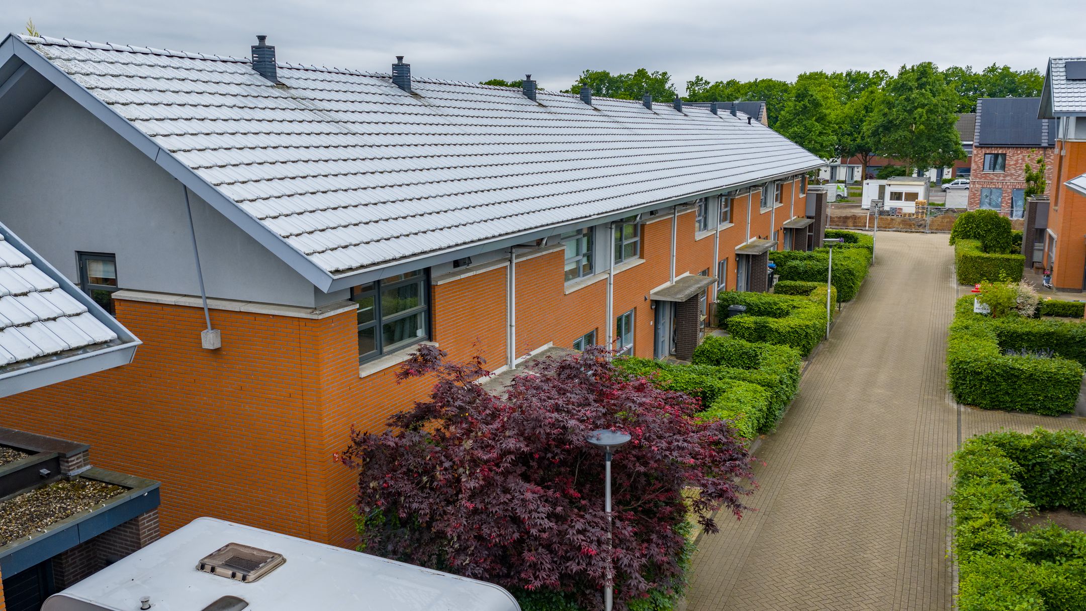 Foto 33 van Satijnvlinder 11