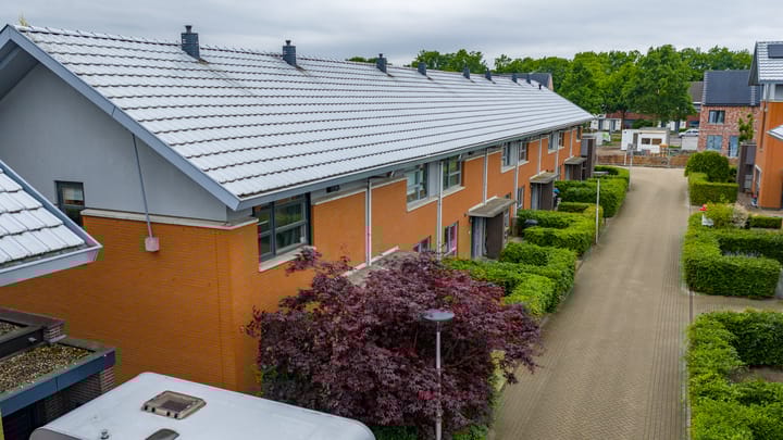 Foto 33 van Satijnvlinder 11