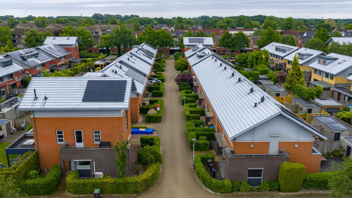 Foto 34 van Satijnvlinder 11