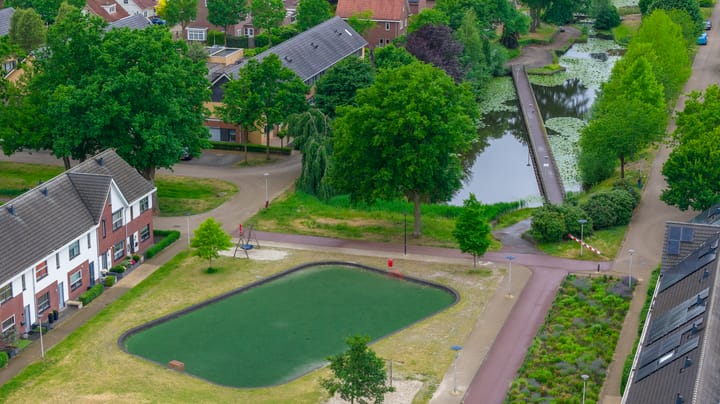 Foto 35 van Satijnvlinder 11