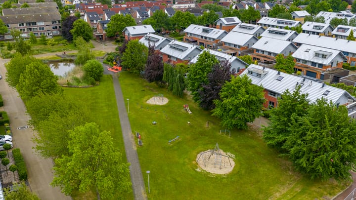 Foto 36 van Satijnvlinder 11