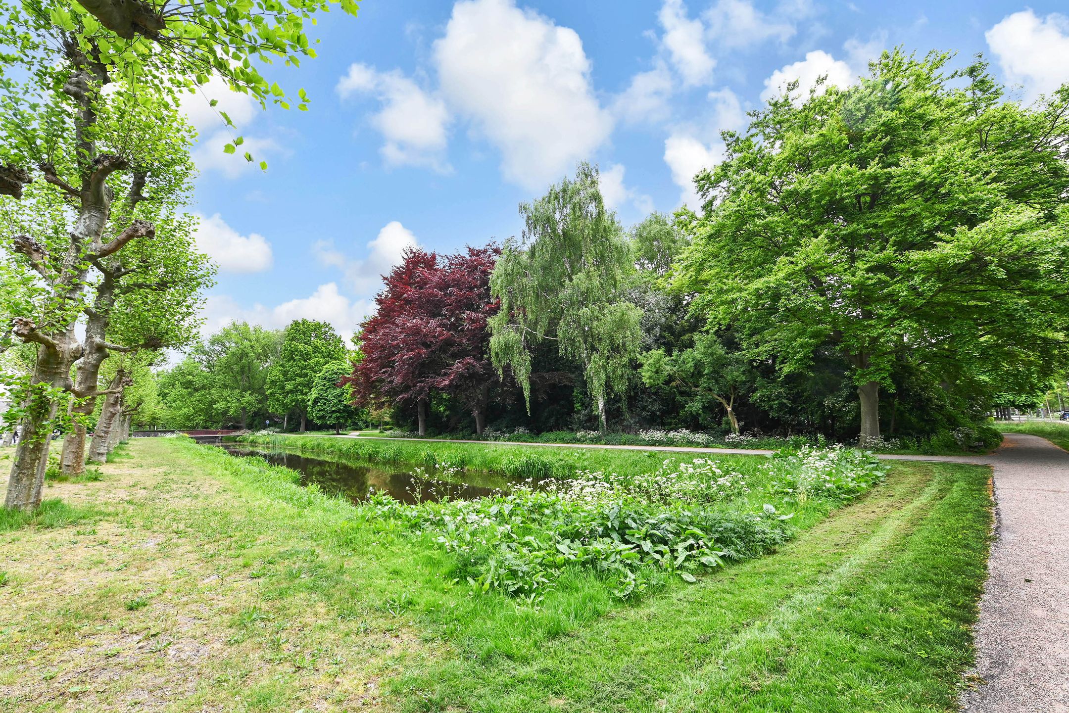 Foto 39 van Spinozalaan 38-E