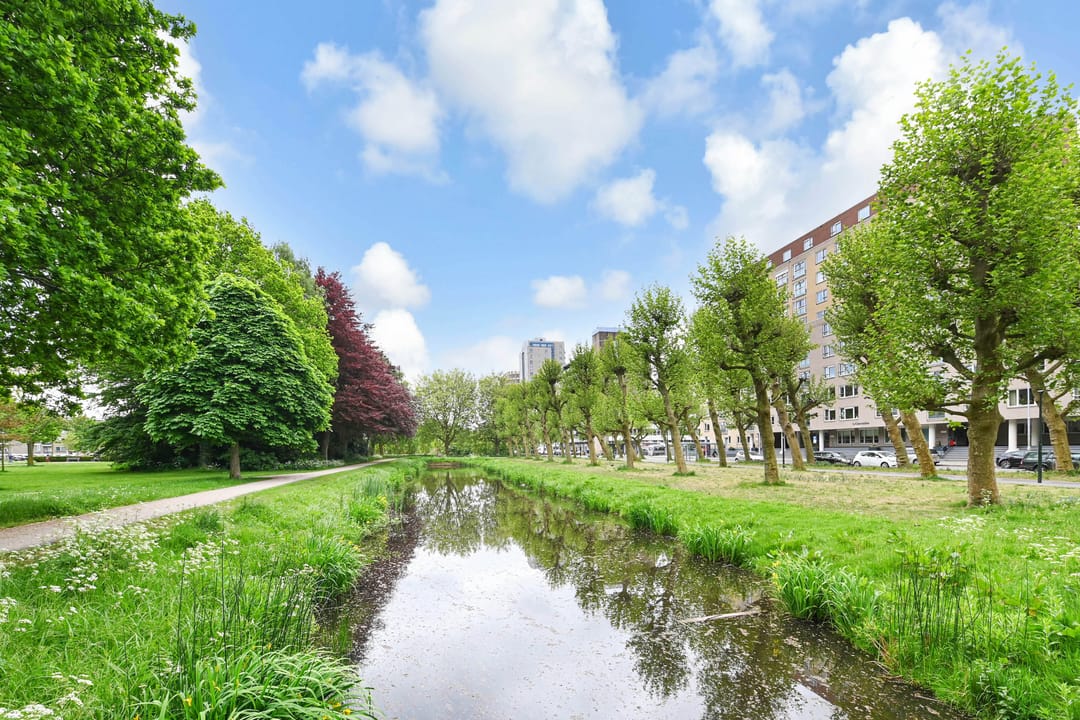 Foto 41 van Spinozalaan 38-E