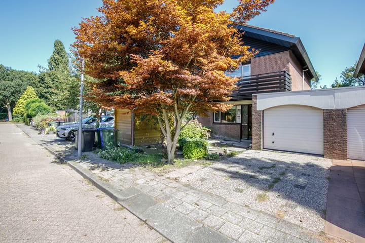 Luzerneklaver 21 main image