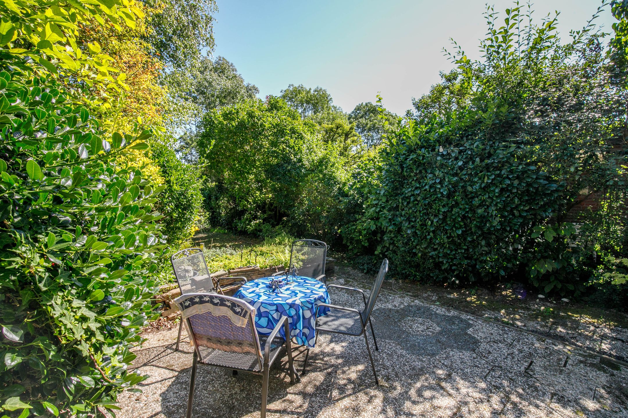 Foto 3 van Luzerneklaver 21