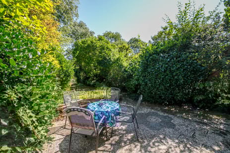 Luzerneklaver 21 tertiary image