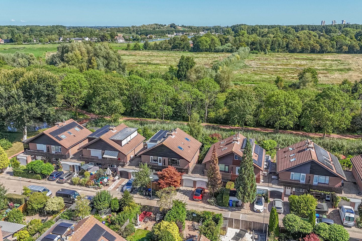 Foto 4 van Luzerneklaver 21