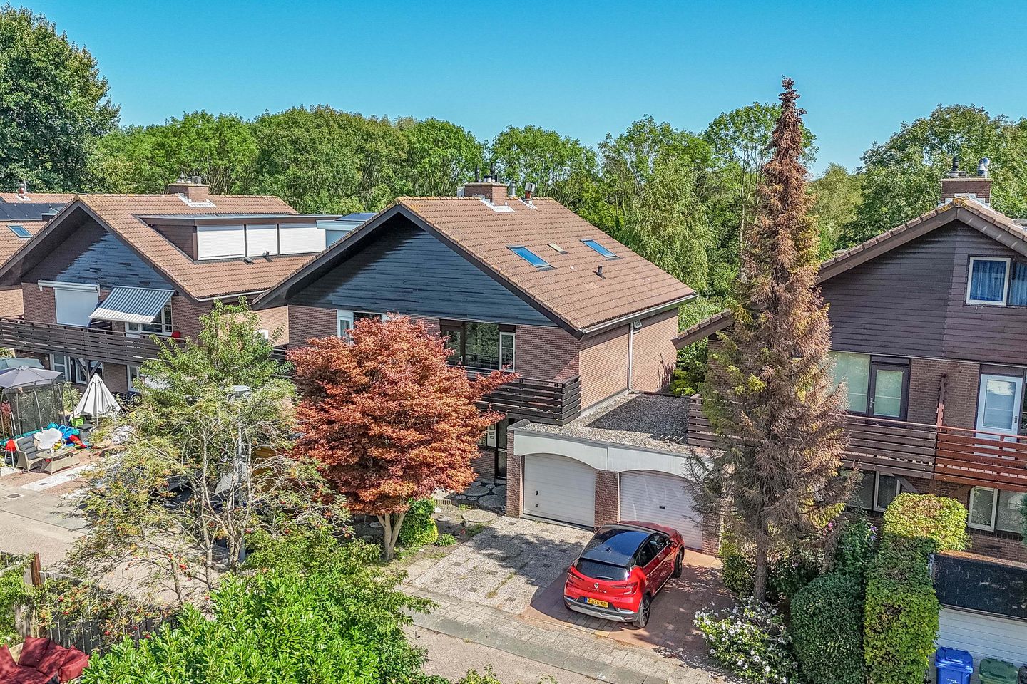 Foto 5 van Luzerneklaver 21