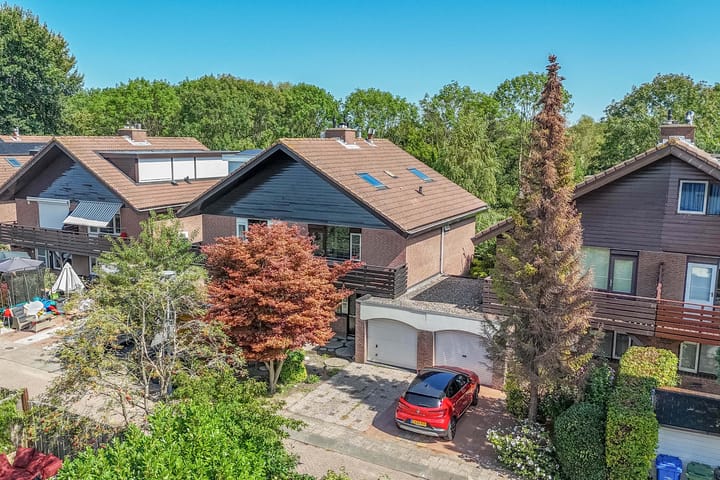 Foto 5 van Luzerneklaver 21