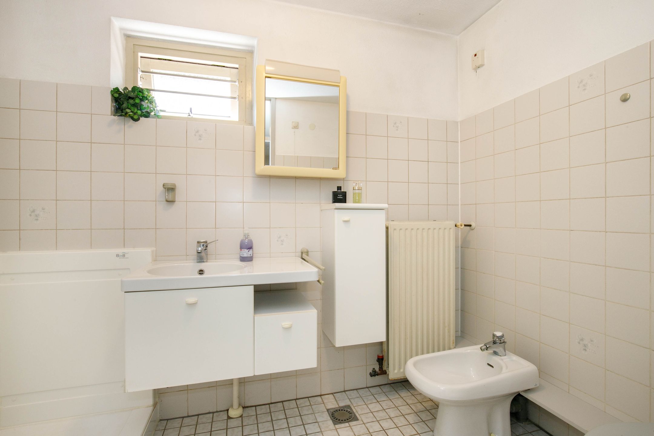 Foto 21 van Luzerneklaver 21