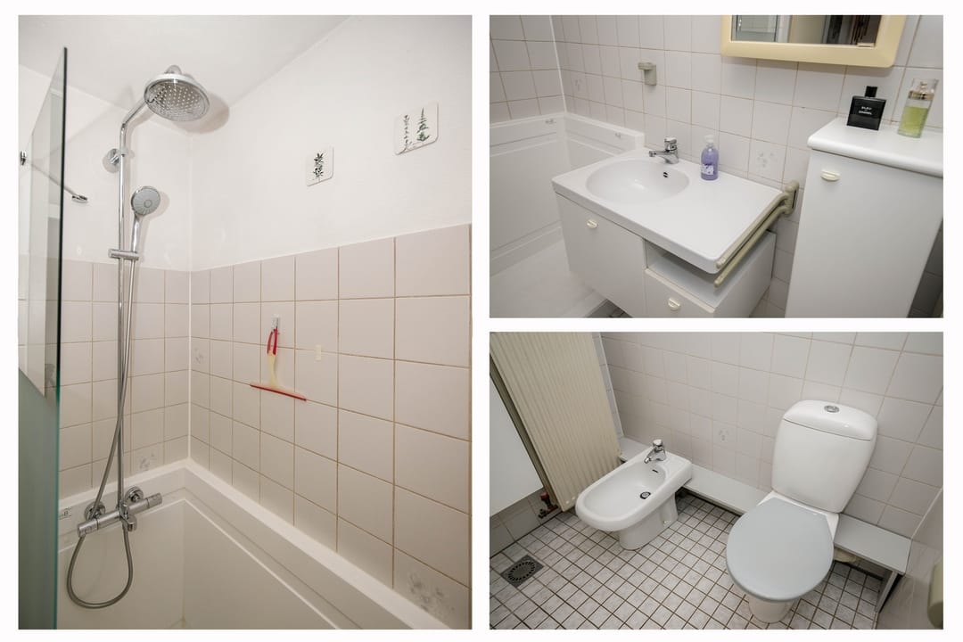 Foto 22 van Luzerneklaver 21