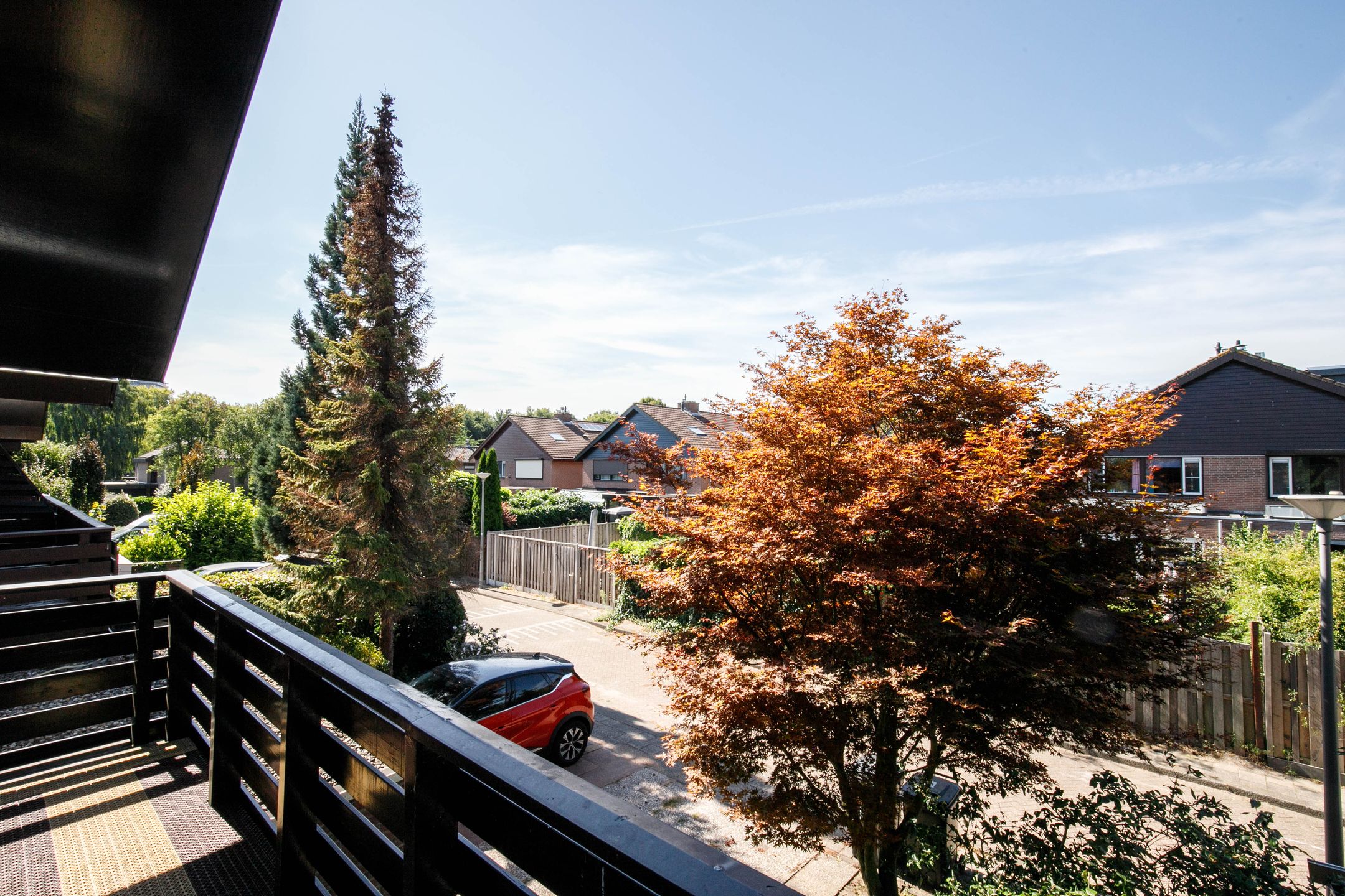 Foto 24 van Luzerneklaver 21