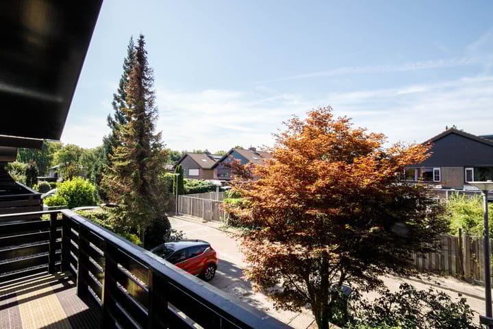 Foto 24 van Luzerneklaver 21