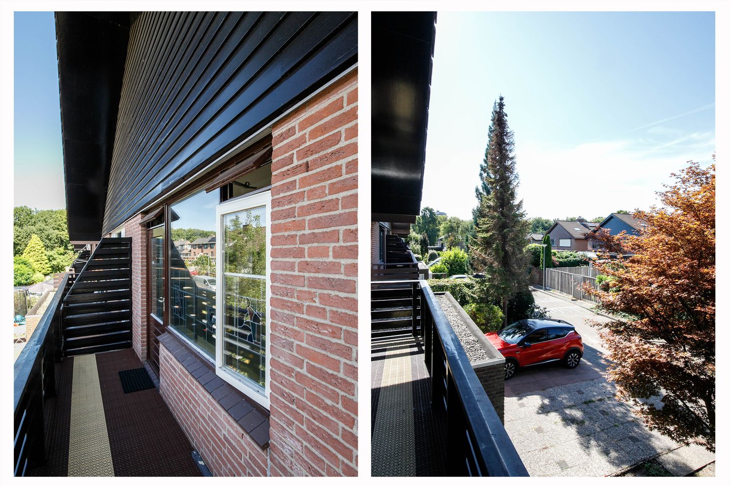 Foto 25 van Luzerneklaver 21