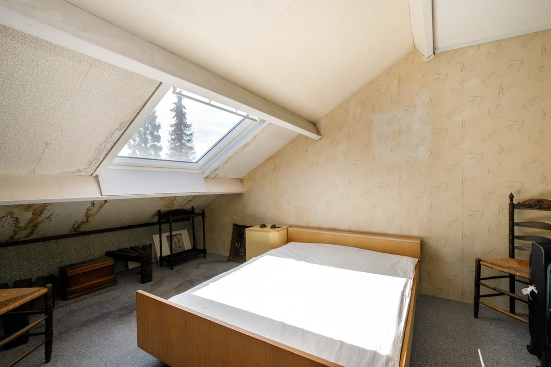 Foto 28 van Luzerneklaver 21