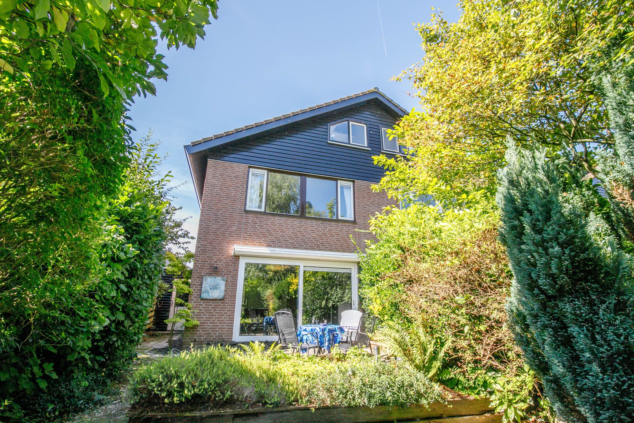 Foto 30 van Luzerneklaver 21