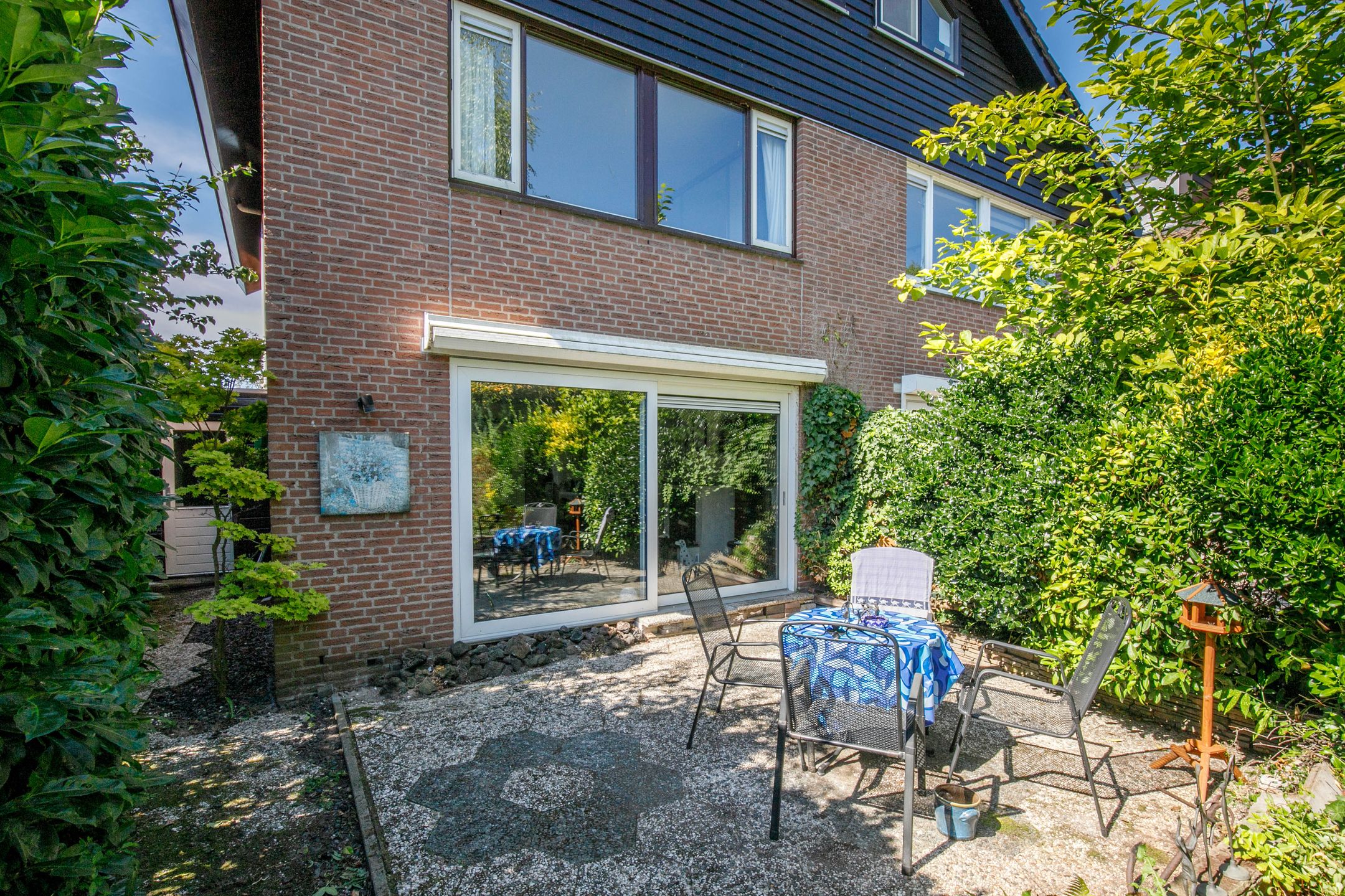 Foto 33 van Luzerneklaver 21